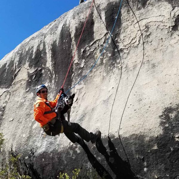 Rope Safety & Rescue Courses » Rescue 3 International