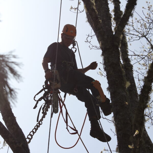 Rope Safety & Rescue Courses » Rescue 3 International